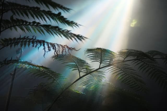 Greenhouse at expo shanghai（上海世博温室花园）