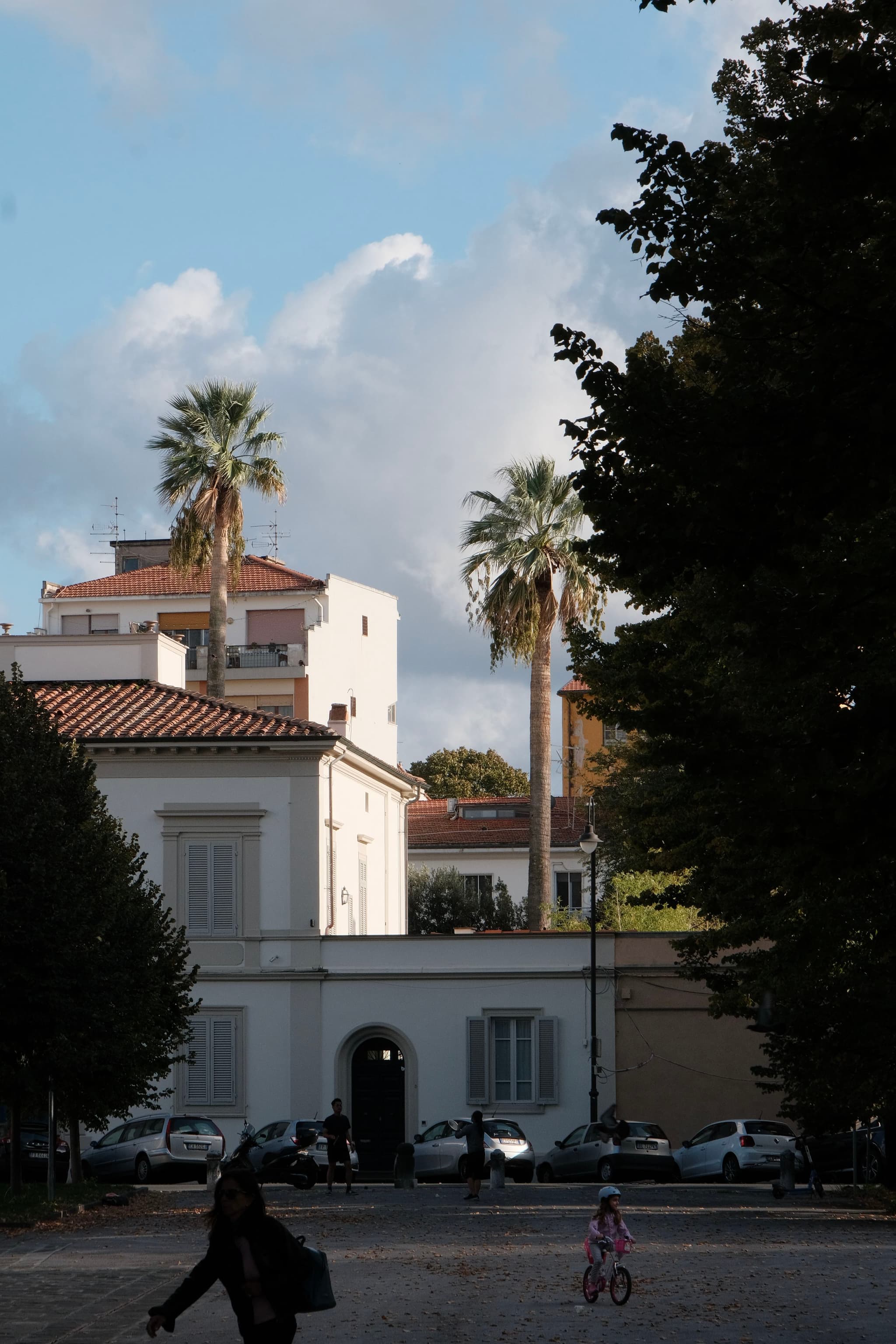 Pisa